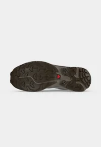 XT 6 GTX UNISEX - Trainers - earth brown/delicioso/huckleber 6